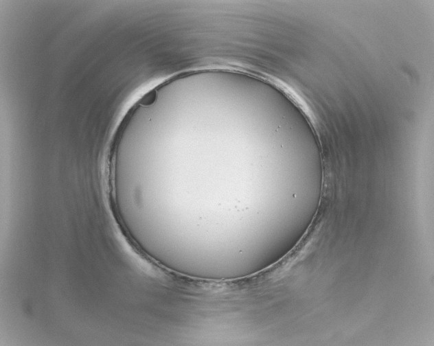 X0000115191003200911181444