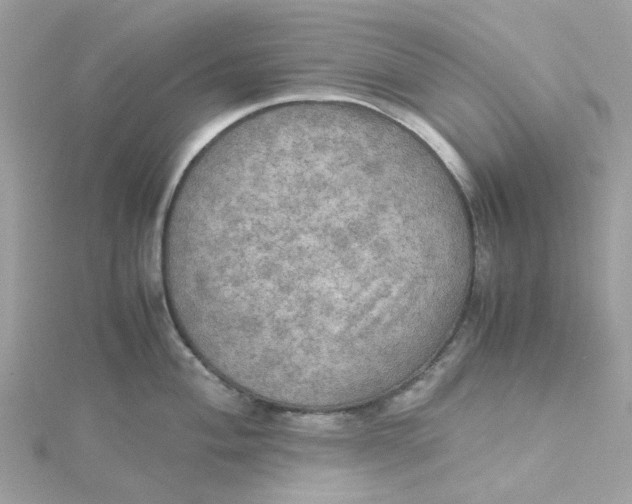 X0000115191004200911181444