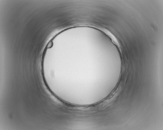 X0000115191005200911181444