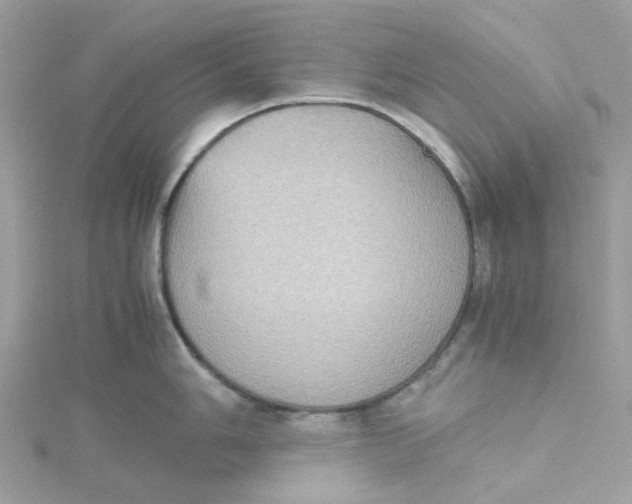 X0000115191006200911181444