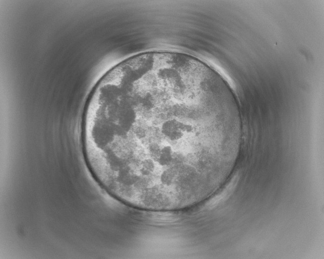 X0000115191007200911181444