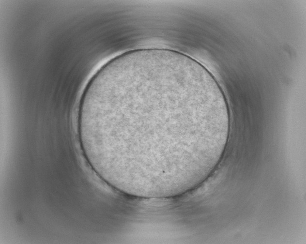 X0000115191008200911181444