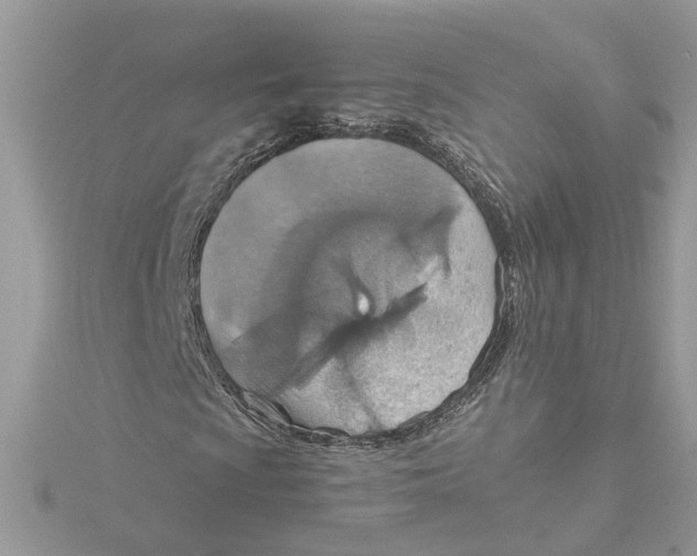 X0000115191009200911181443