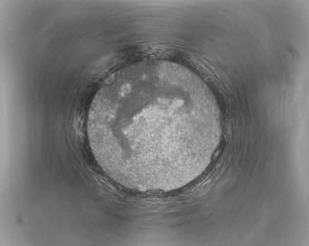 X0000115191010200911181443