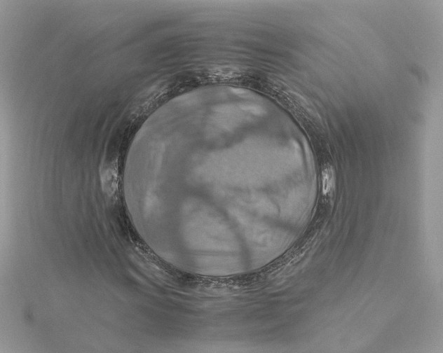 X0000115191011200911181443