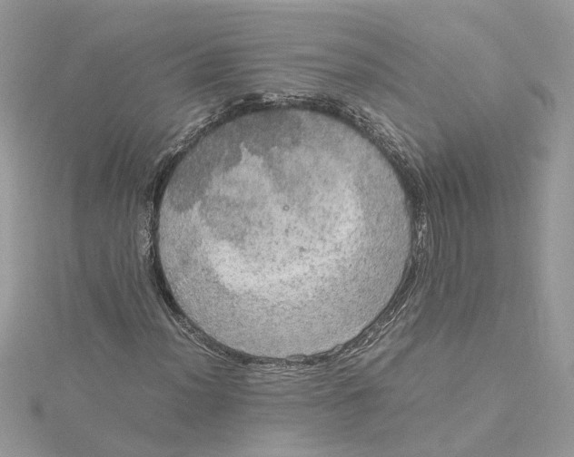 X0000115191012200911181443