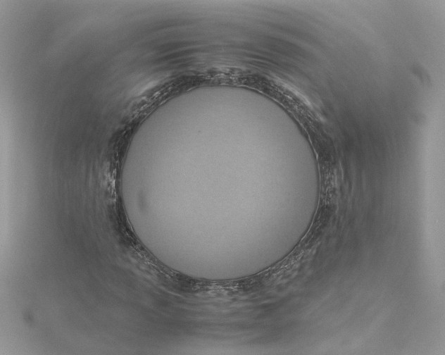 X0000115191013200911181443