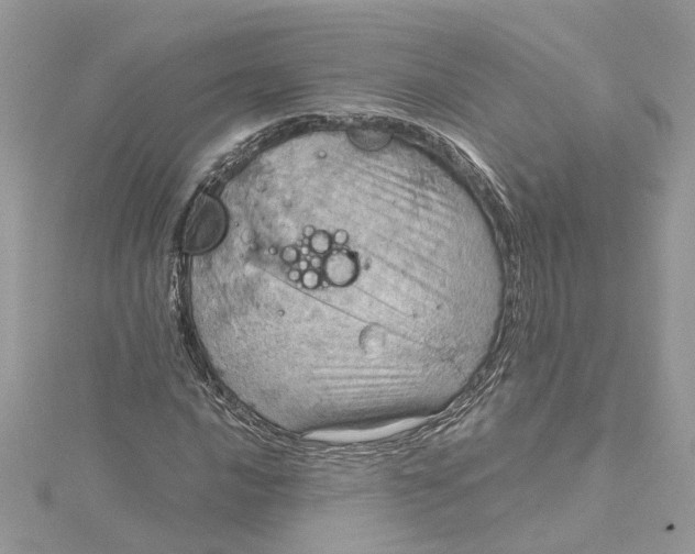 X0000115191016200911181443