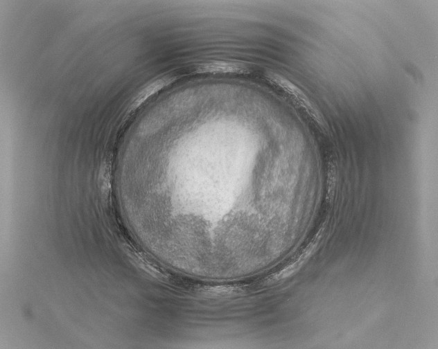 X0000115191017200911181443