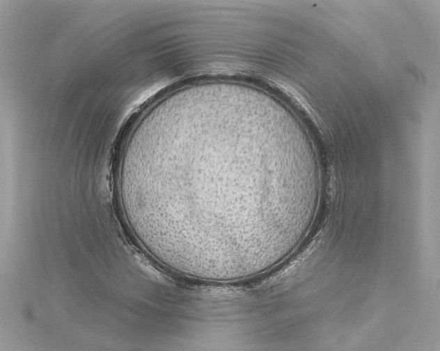 X0000115191018200911181443