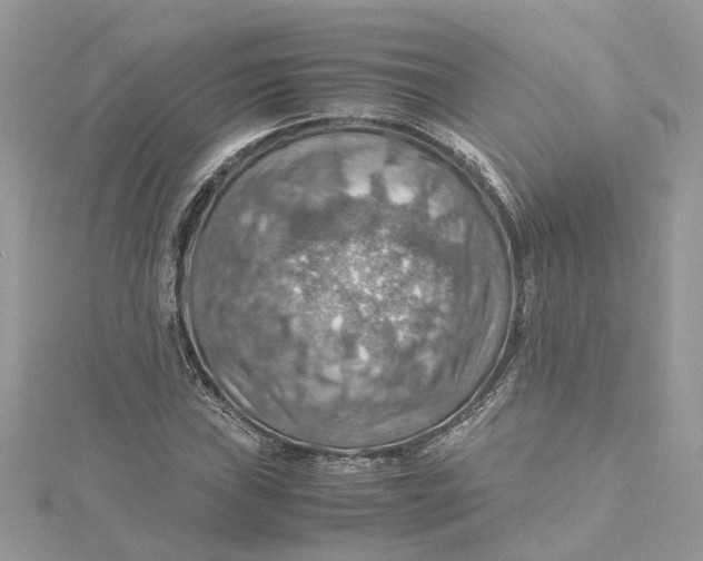 X0000115191019200911181443