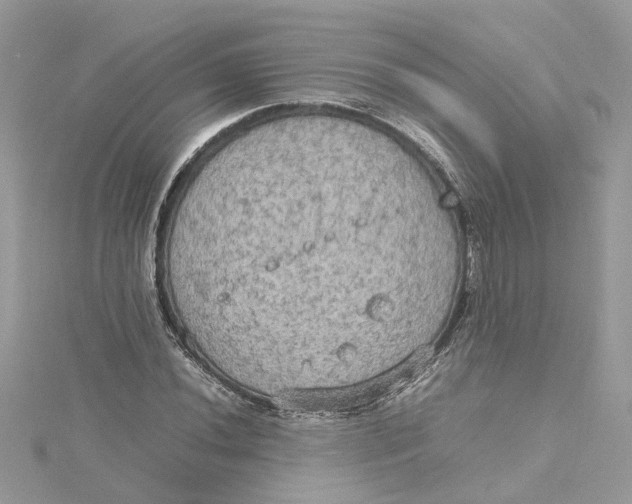 X0000115191020200911181443