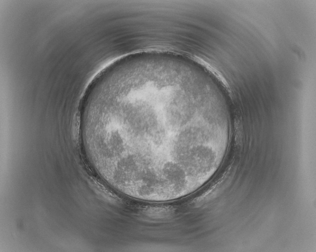 X0000115191021200911181443