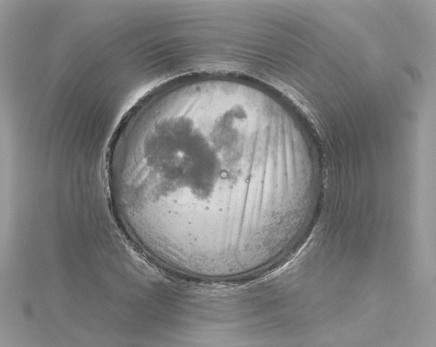 X0000115191022200911181443