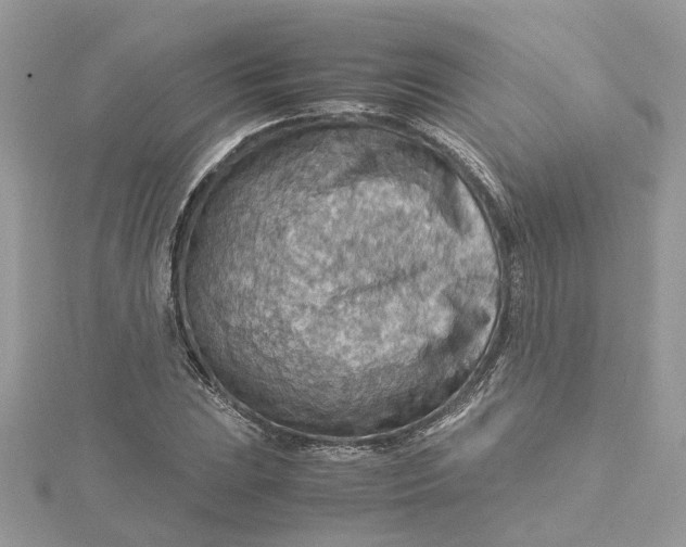 X0000115191023200911181443