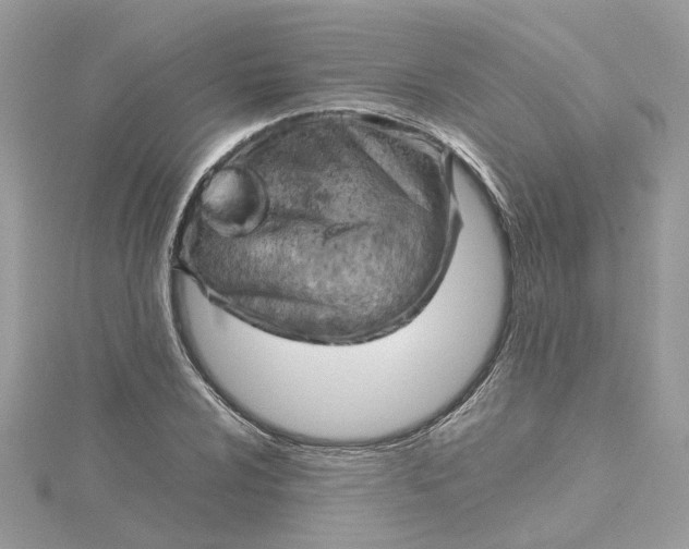 X0000115191024200911181444