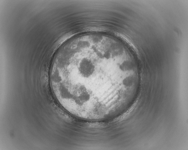 X0000115191025200911181444