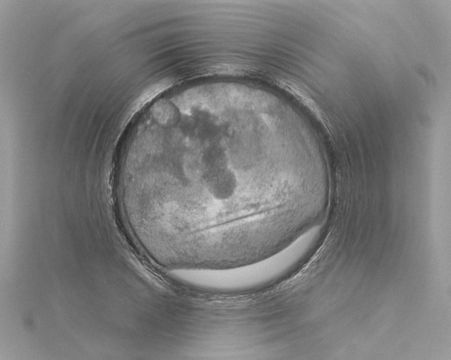 X0000115191026200911181444