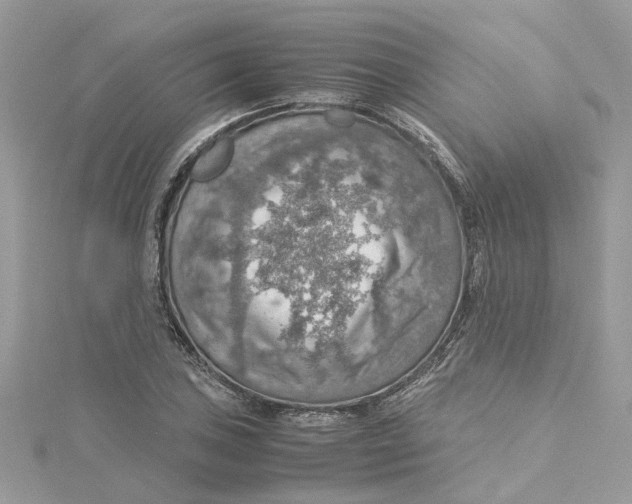 X0000115191027200911181444