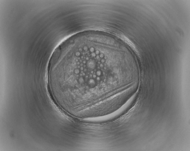 X0000115191028200911181444