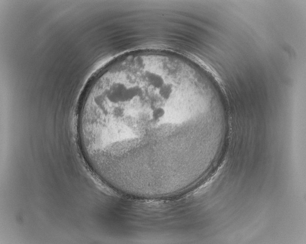 X0000115191029200911181444