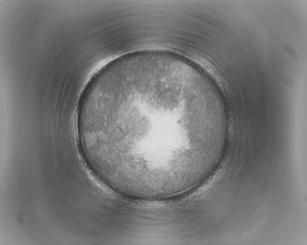 X0000115191030200911181444