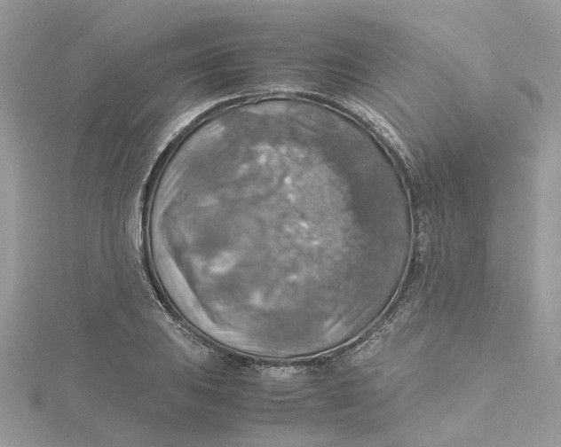 X0000115191031200911181444