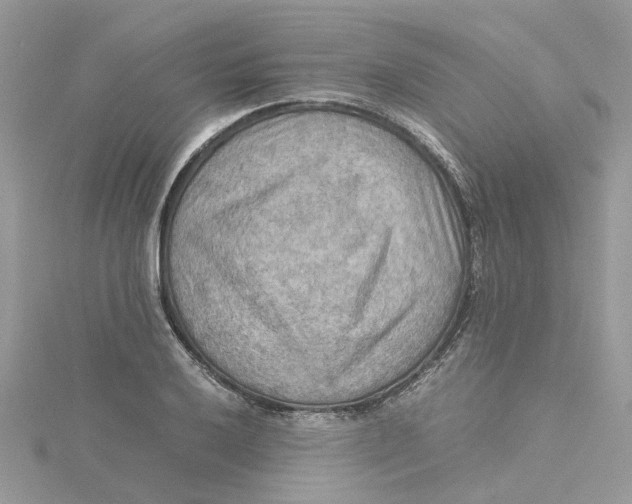 X0000115191032200911181444