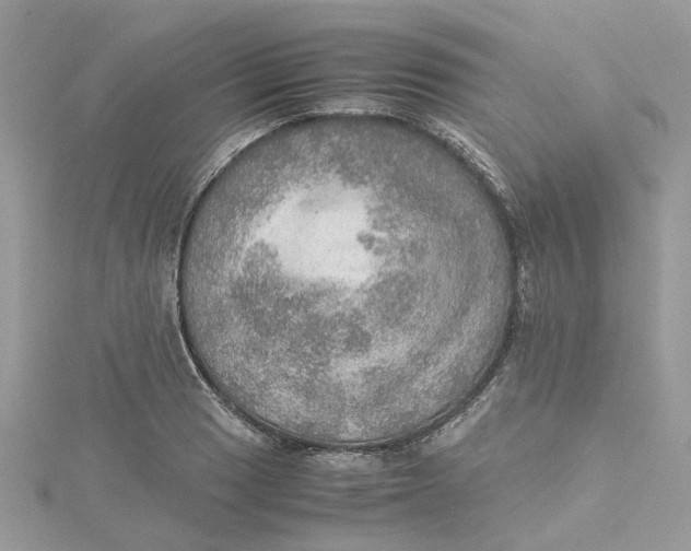 X0000115191033200911181444