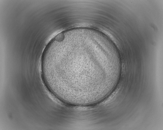 X0000115191034200911181444