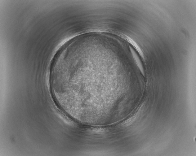 X0000115191035200911181444