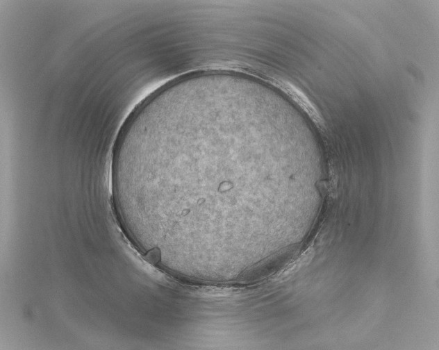 X0000115191036200911181444