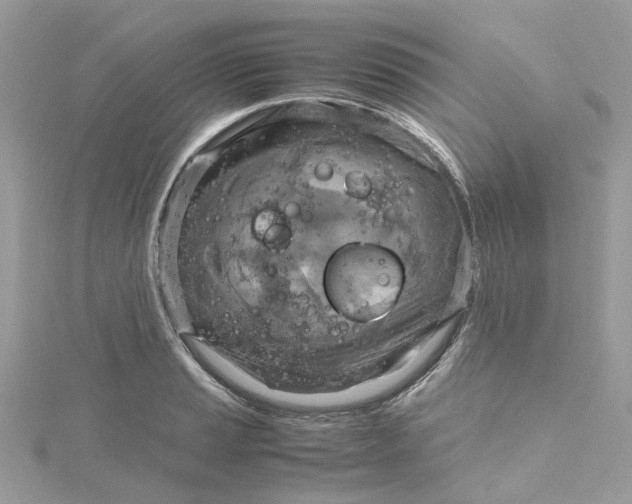 X0000115191037200911181444