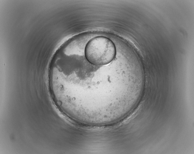 X0000115191038200911181444