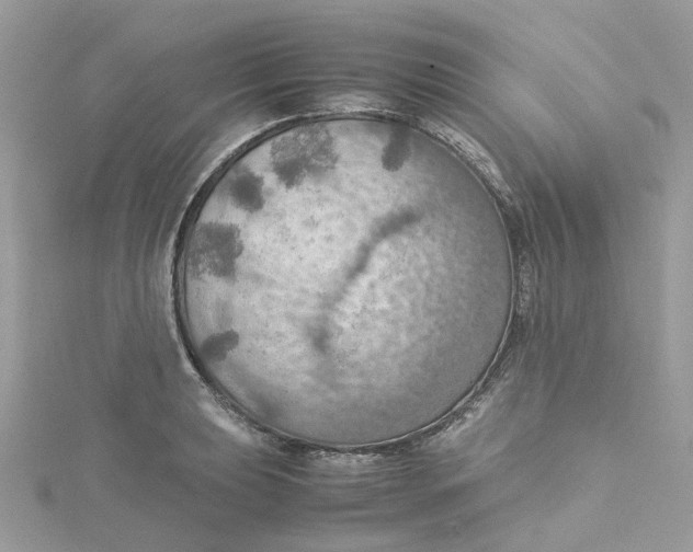 X0000115191039200911181444