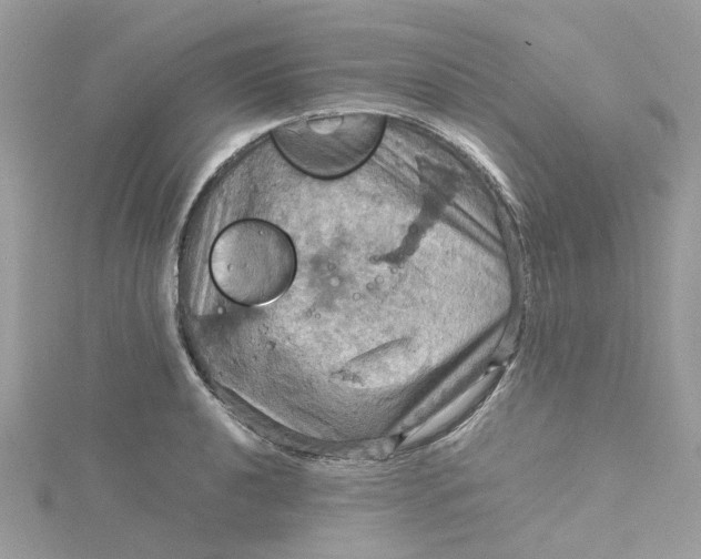 X0000115191040200911181444