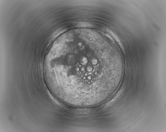 X0000115191041200911181444