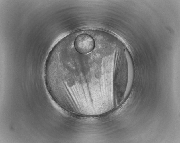 X0000115191042200911181444