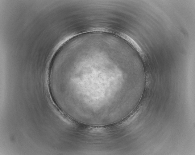 X0000115191043200911181444