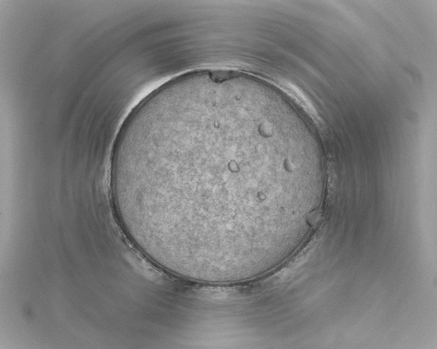 X0000115191044200911181444