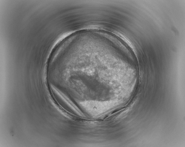 X0000115191045200911181444