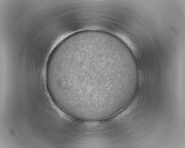 X0000115191046200911181444