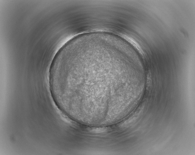 X0000115191047200911181444