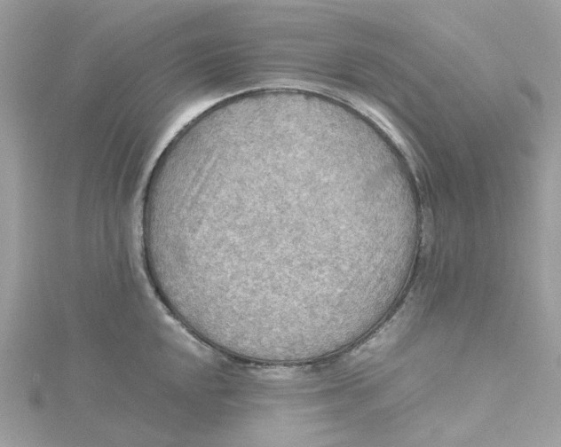 X0000115191048200911181444