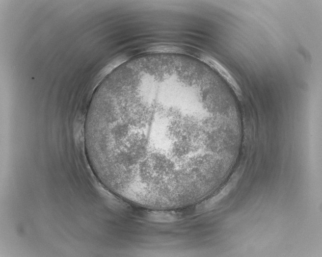 X0000115191049200911181444