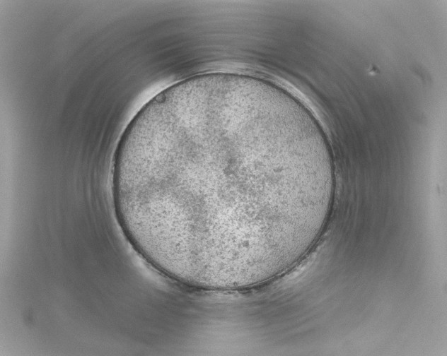 X0000115191050200911181444