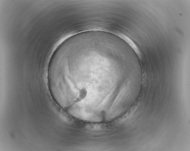 X0000115191051200911181444