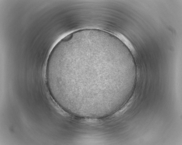 X0000115191052200911181444