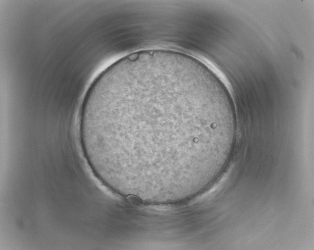 X0000115191053200911181444