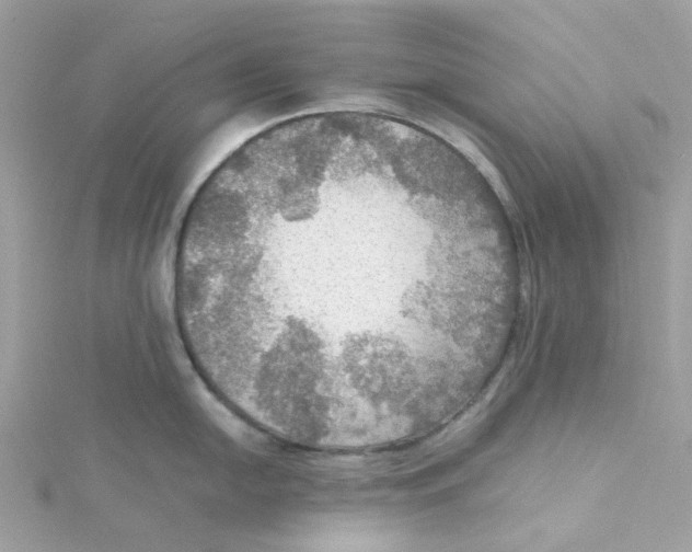 X0000115191054200911181444